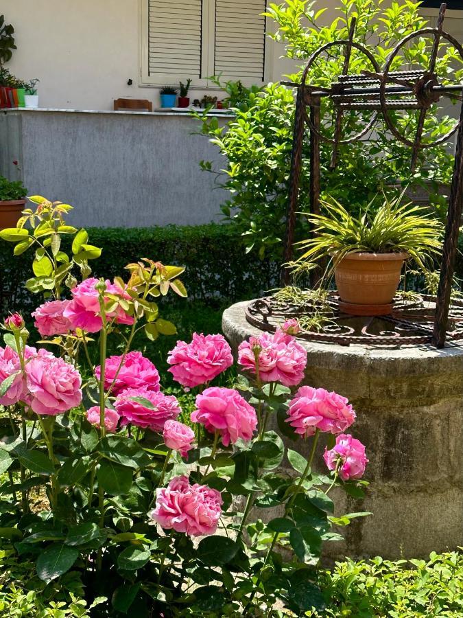 Js House Shkoder 1 Apartment Екстериор снимка