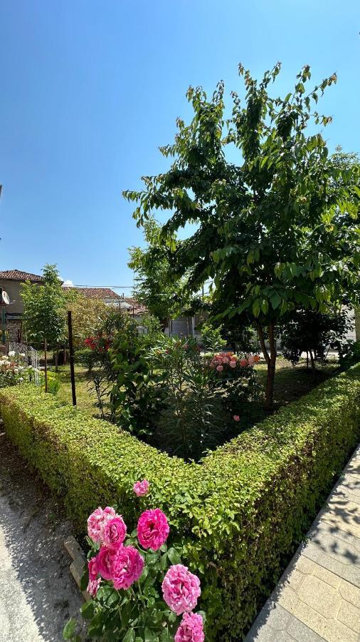 Js House Shkoder 1 Apartment Екстериор снимка